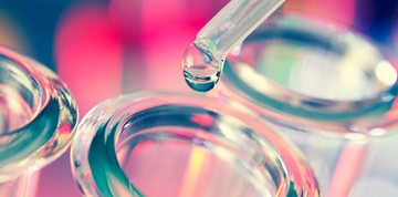 Alkol Karaciğeri Yağlandırıyor Alkol Karaciğeri Yağlandırıyor