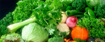 Karaciğer Yağlanması Bitkisel Tedavi Karaciğer Yağlanması Bitkisel Tedavi